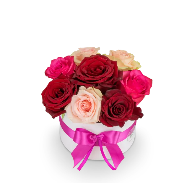 Květinový box růží